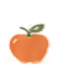 Masa inclusa