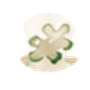 Activitati extra